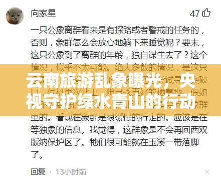 云南旅游亂象曝光，央視守護(hù)綠水青山的行動
