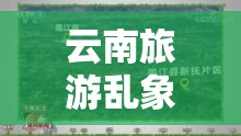 云南旅游亂象曝光，央視守護(hù)綠水青山的行動