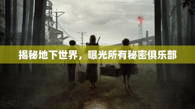 揭秘地下世界，曝光所有秘密俱樂部