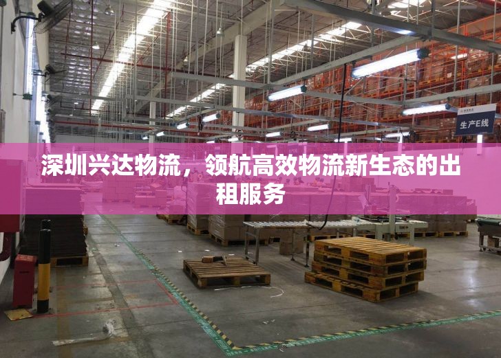 深圳興達(dá)物流，領(lǐng)航高效物流新生態(tài)的出租服務(wù)