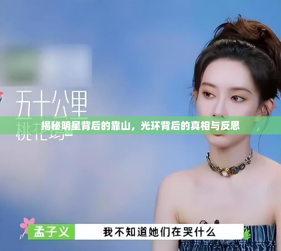 揭秘明星背后的靠山，光環(huán)背后的真相與反思
