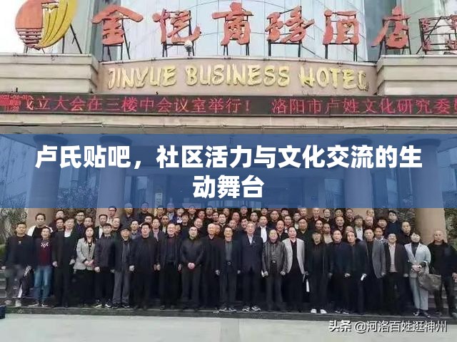 盧氏貼吧，社區(qū)活力與文化交流的生動舞臺
