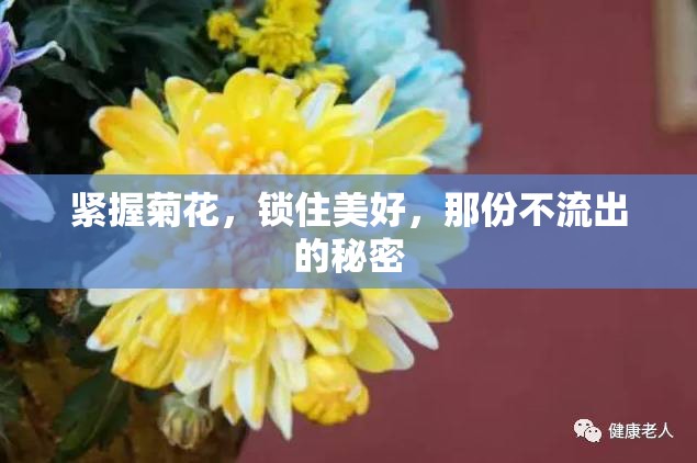 緊握菊花，鎖住美好，那份不流出的秘密