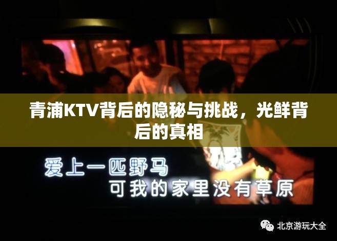 青浦KTV背后的隱秘與挑戰(zhàn)，光鮮背后的真相