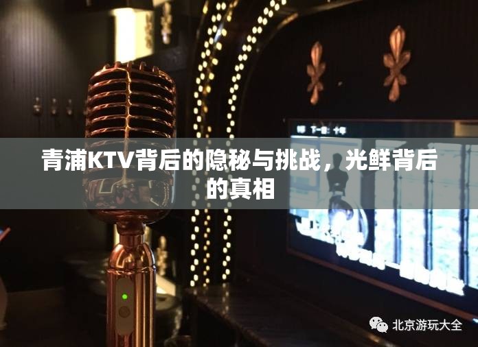 青浦KTV背后的隱秘與挑戰(zhàn)，光鮮背后的真相