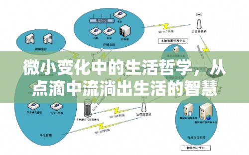 微小變化中的生活哲學，從點滴中流淌出生活的智慧