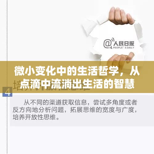 微小變化中的生活哲學，從點滴中流淌出生活的智慧