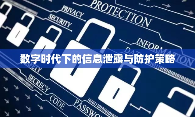 數(shù)字時代下的信息泄露與防護策略