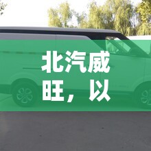 北汽威旺，以創(chuàng)新為翼，翱翔新能源汽車藍?！钚聞討B(tài)與未來展望