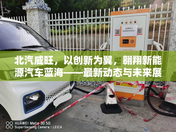 北汽威旺，以創(chuàng)新為翼，翱翔新能源汽車藍?！钚聞討B(tài)與未來展望