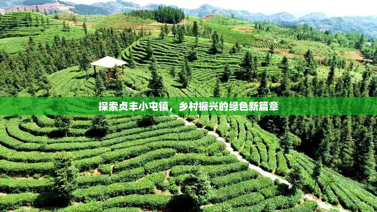 探索貞豐小屯鎮(zhèn)，鄉(xiāng)村振興的綠色新篇章