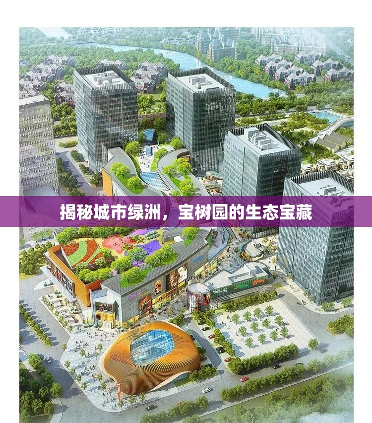 揭秘城市綠洲，寶樹園的生態(tài)寶藏