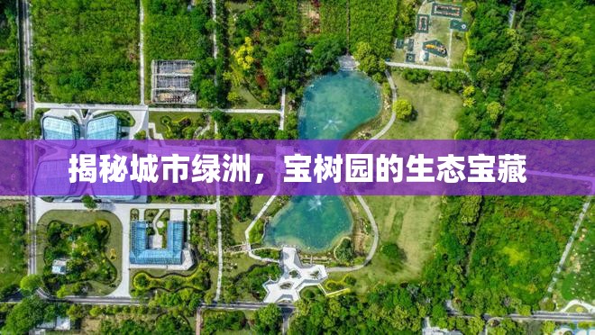 揭秘城市綠洲，寶樹園的生態(tài)寶藏