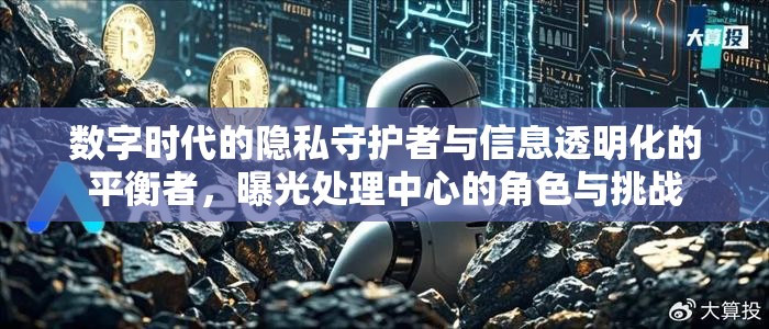 數(shù)字時(shí)代的隱私守護(hù)者與信息透明化的平衡者，曝光處理中心的角色與挑戰(zhàn)