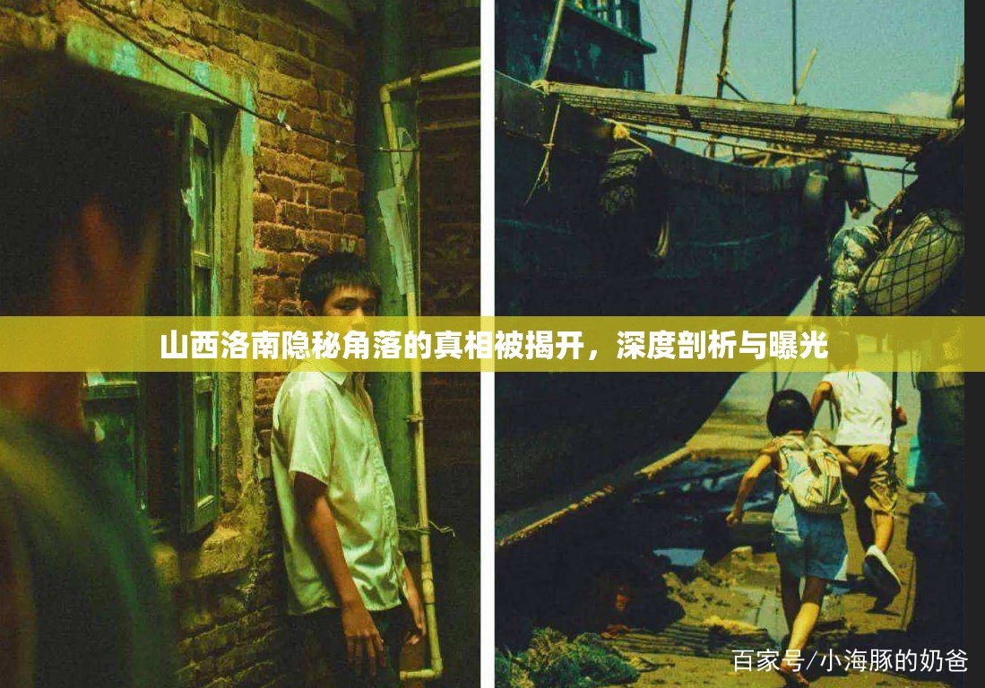 山西洛南隱秘角落的真相被揭開，深度剖析與曝光