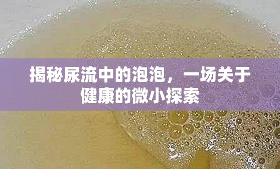 揭秘尿流中的泡泡，一場關(guān)于健康的微小探索