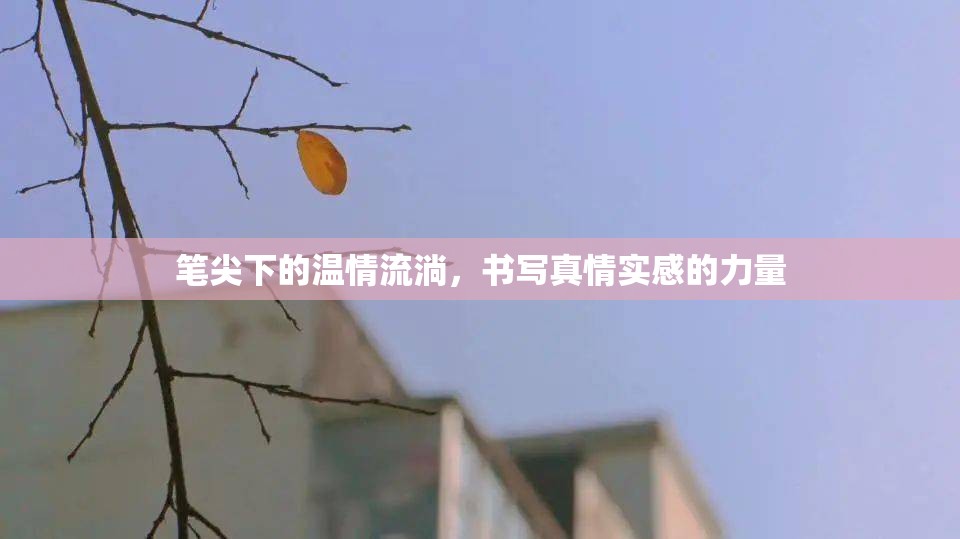 筆尖下的溫情流淌，書寫真情實感的力量