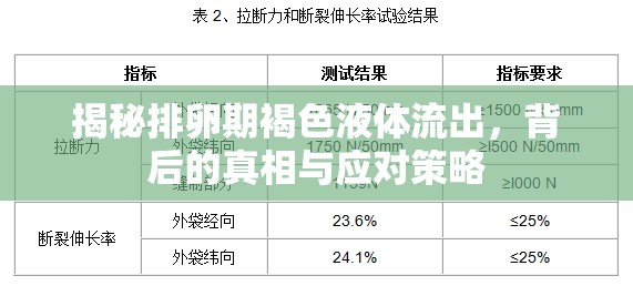 揭秘排卵期褐色液體流出，背后的真相與應(yīng)對(duì)策略