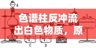 色譜柱反沖流出白色物質(zhì)，原因分析與應(yīng)對(duì)策略