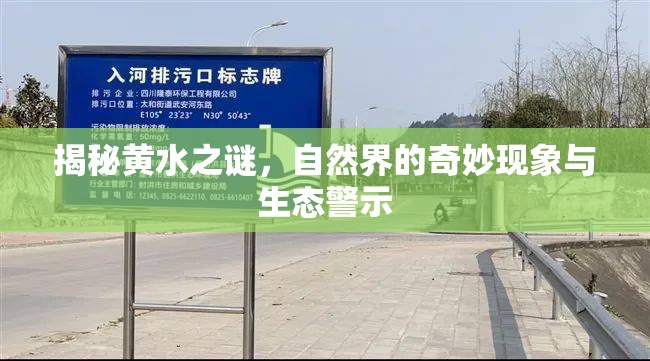 揭秘黃水之謎，自然界的奇妙現(xiàn)象與生態(tài)警示