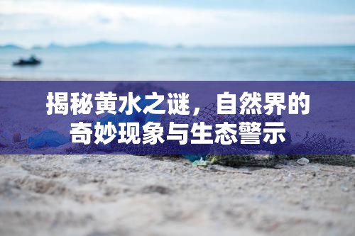 揭秘黃水之謎，自然界的奇妙現(xiàn)象與生態(tài)警示