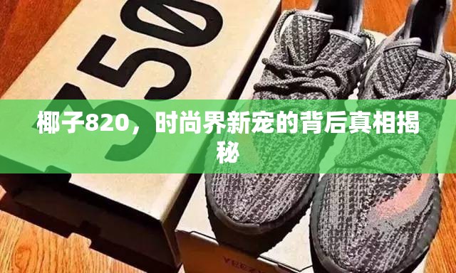 椰子820，時尚界新寵的背后真相揭秘