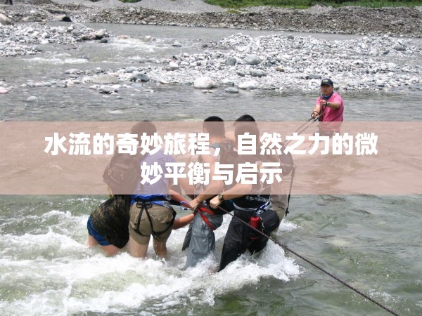 水流的奇妙旅程，自然之力的微妙平衡與啟示