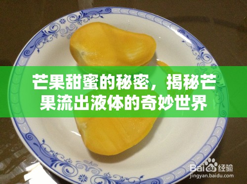 芒果甜蜜的秘密，揭秘芒果流出液體的奇妙世界