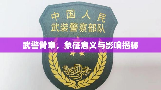 武警臂章，象征意義與影響揭秘