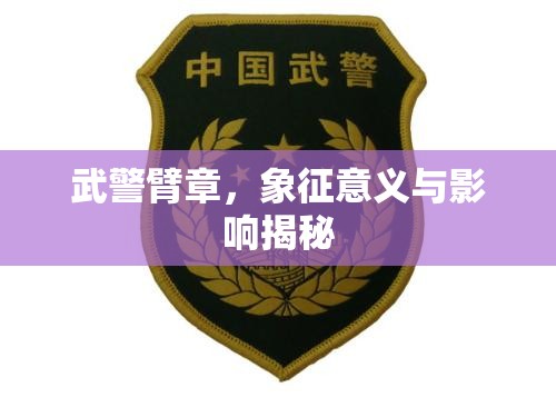 武警臂章，象征意義與影響揭秘