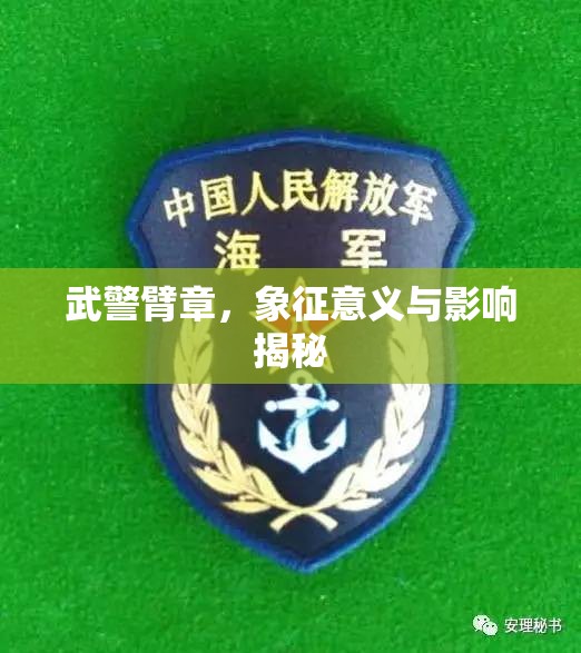 武警臂章，象征意義與影響揭秘
