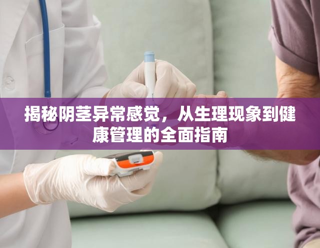 揭秘陰莖異常感覺(jué)，從生理現(xiàn)象到健康管理的全面指南