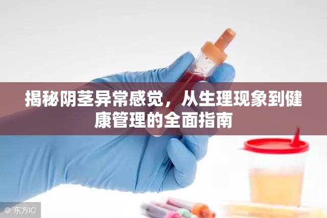 揭秘陰莖異常感覺(jué)，從生理現(xiàn)象到健康管理的全面指南