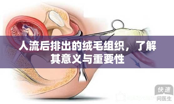 人流后排出的絨毛組織，了解其意義與重要性
