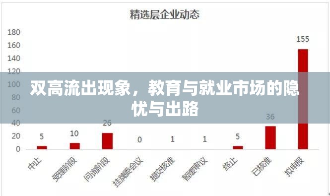 雙高流出現(xiàn)象，教育與就業(yè)市場的隱憂與出路