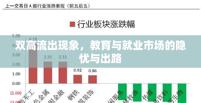 雙高流出現(xiàn)象，教育與就業(yè)市場的隱憂與出路
