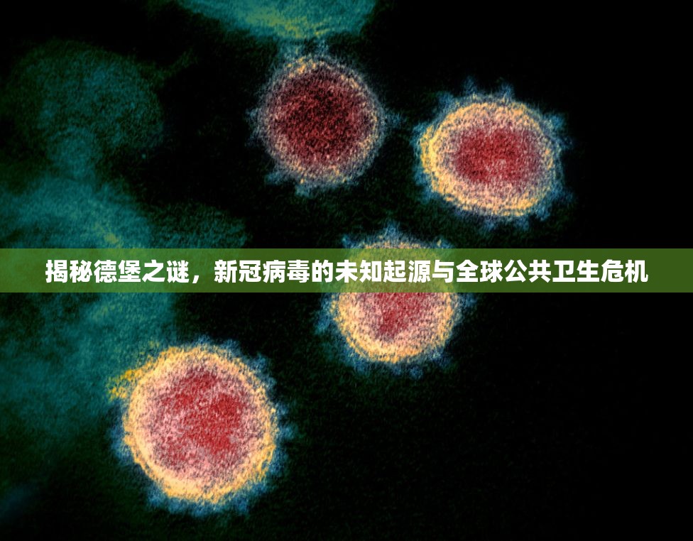 揭秘德堡之謎，新冠病毒的未知起源與全球公共衛(wèi)生危機(jī)