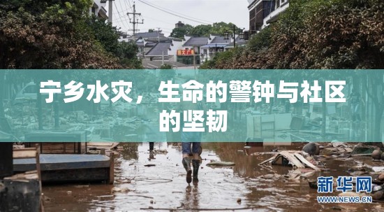 寧鄉(xiāng)水災(zāi)，生命的警鐘與社區(qū)的堅韌