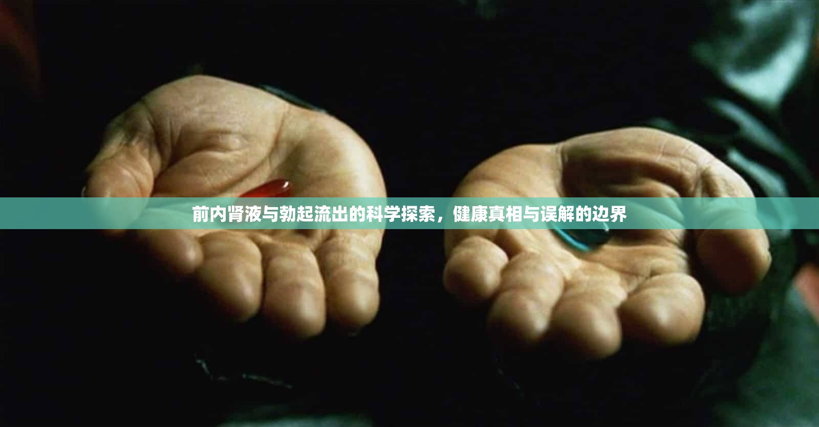 前內腎液與勃起流出的科學探索，健康真相與誤解的邊界