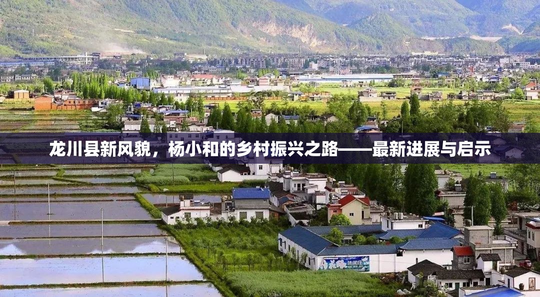 龍川縣新風(fēng)貌，楊小和的鄉(xiāng)村振興之路——最新進(jìn)展與啟示