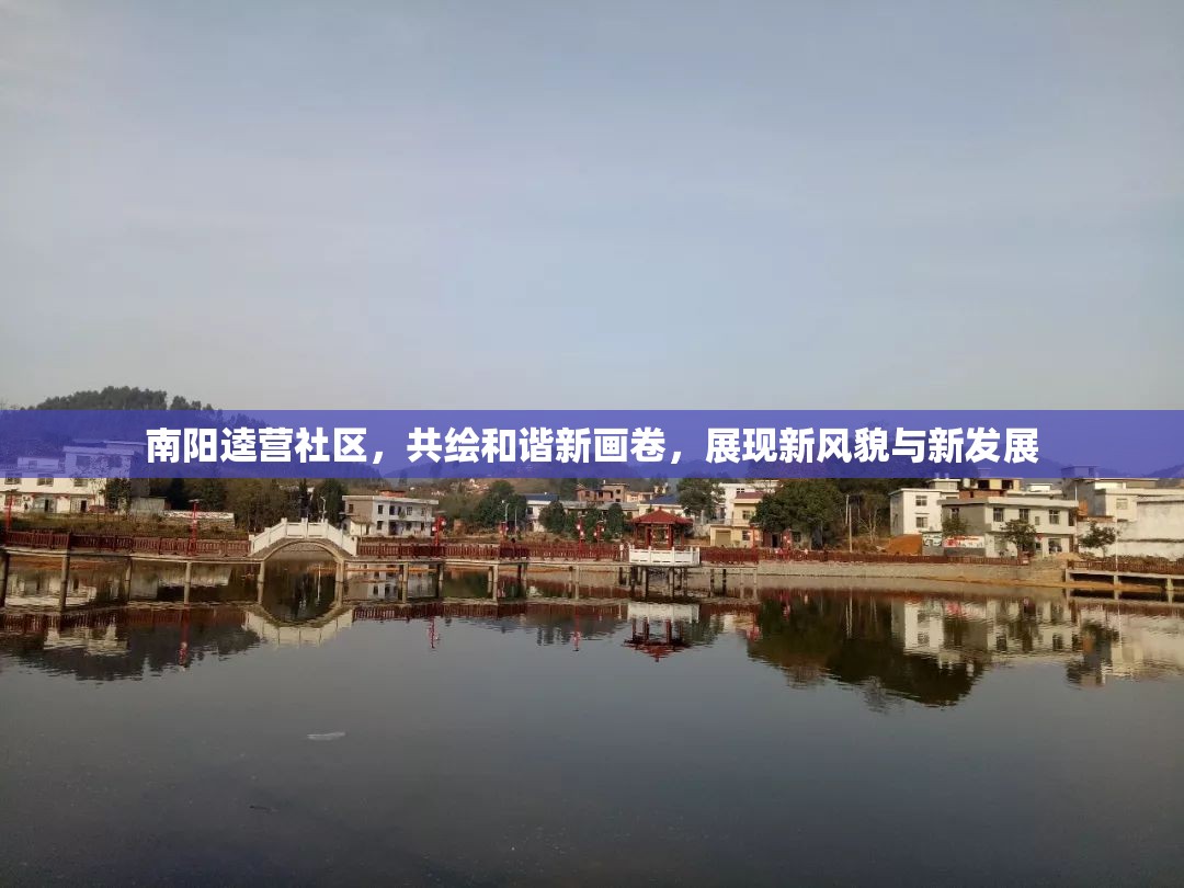 南陽(yáng)逵營(yíng)社區(qū)，共繪和諧新畫卷，展現(xiàn)新風(fēng)貌與新發(fā)展