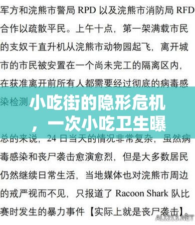 小吃街的隱形危機(jī)，一次小吃衛(wèi)生曝光的深度剖析