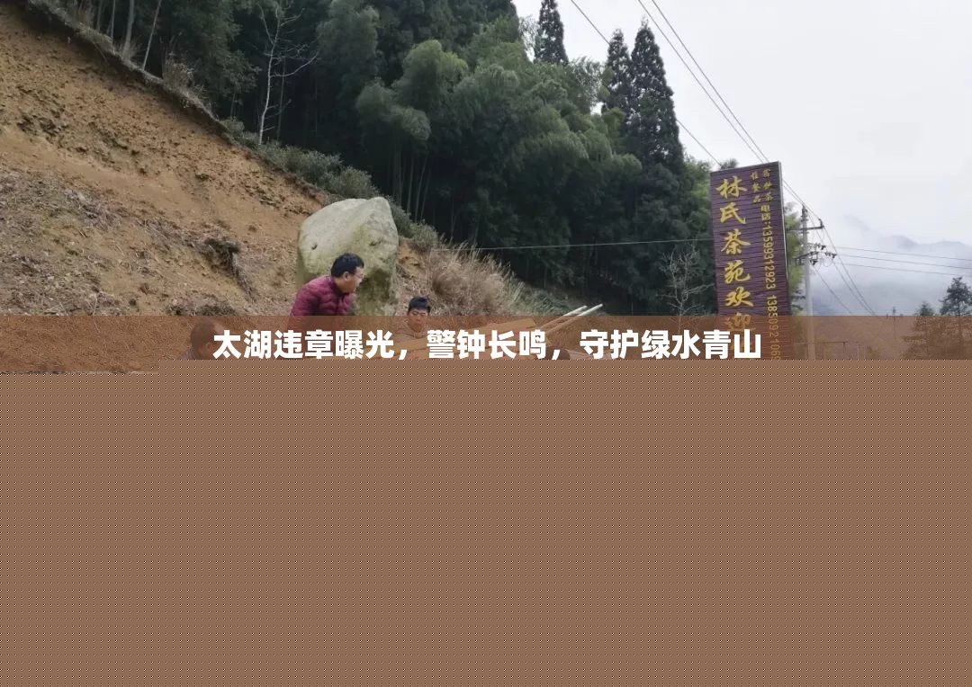 太湖違章曝光，警鐘長鳴，守護綠水青山