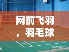 網(wǎng)前飛羽，羽毛球雙花的魅力綻放