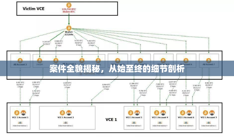案件全貌揭秘，從始至終的細(xì)節(jié)剖析