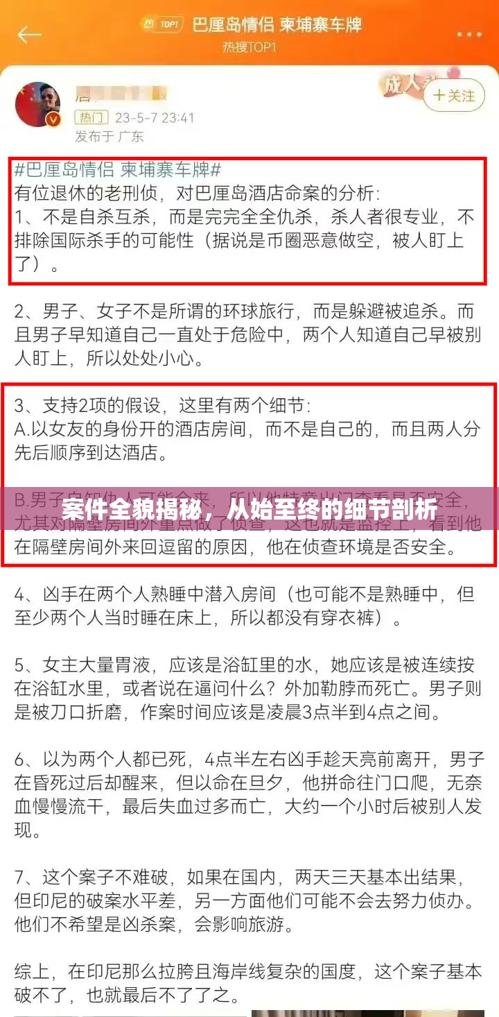 案件全貌揭秘，從始至終的細(xì)節(jié)剖析
