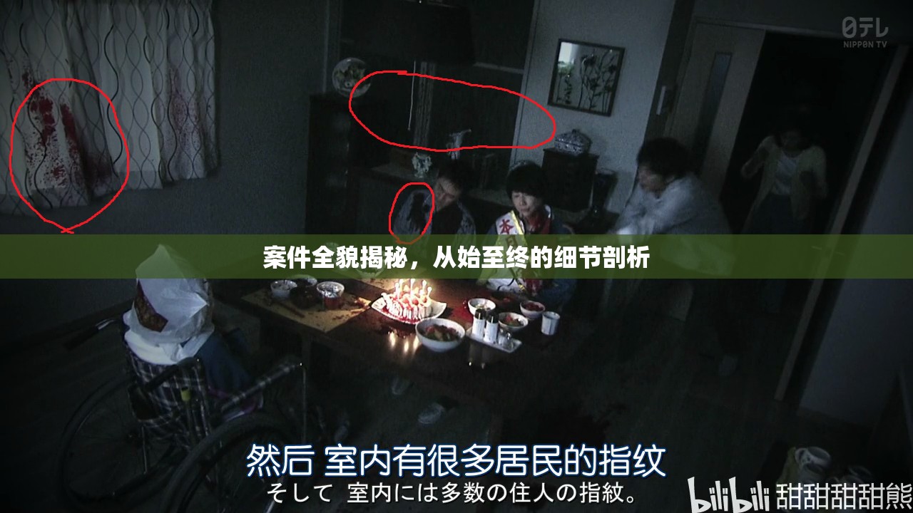 案件全貌揭秘，從始至終的細(xì)節(jié)剖析