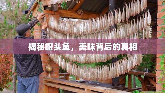揭秘罐頭魚，美味背后的真相