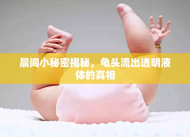 晨間小秘密揭秘，龜頭流出透明液體的真相