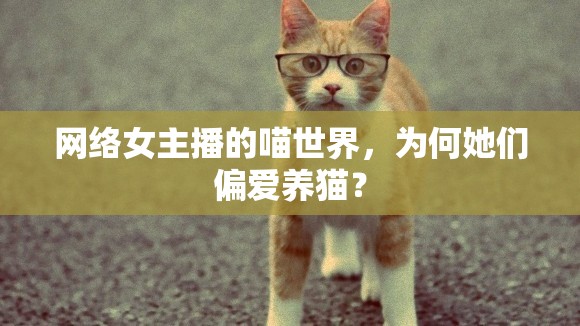 網(wǎng)絡(luò)女主播的喵世界，為何她們偏愛(ài)養(yǎng)貓？